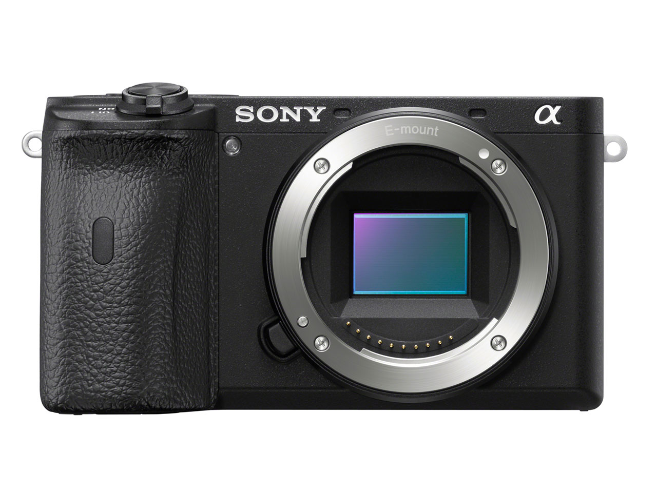 Sony A6600 sensor review