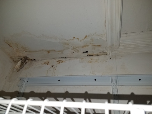 Can Drywall be Sealed and Painted After Water Damage? Rytech