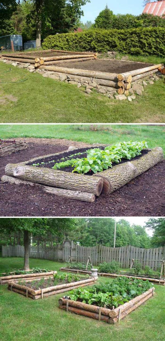 20+ Tree Stump Ideas for a Quirky Yard [Along With Pictures!] 2020