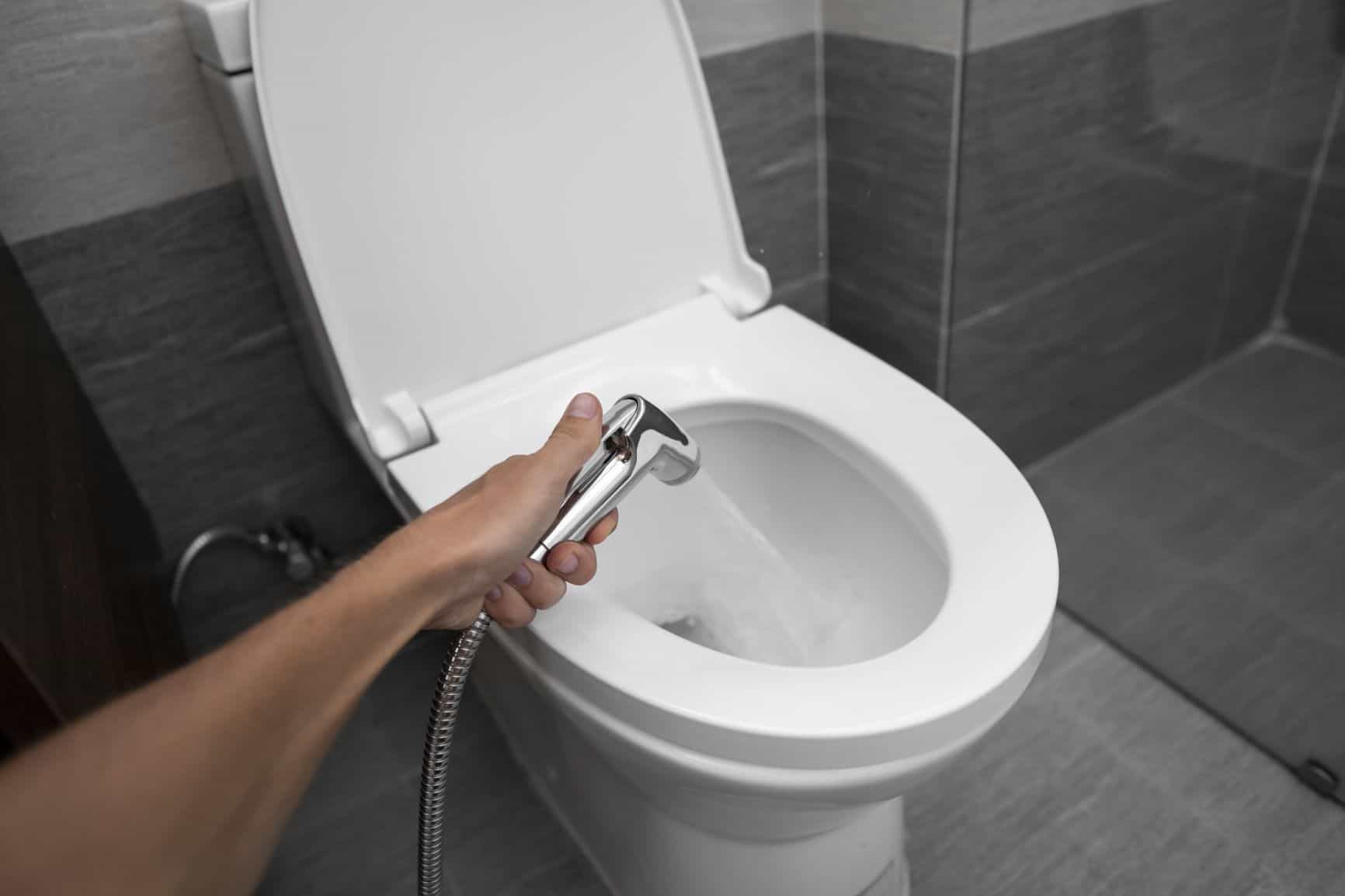 What Is The Strongest Spraying Bidet Seat? EatHappyProject
