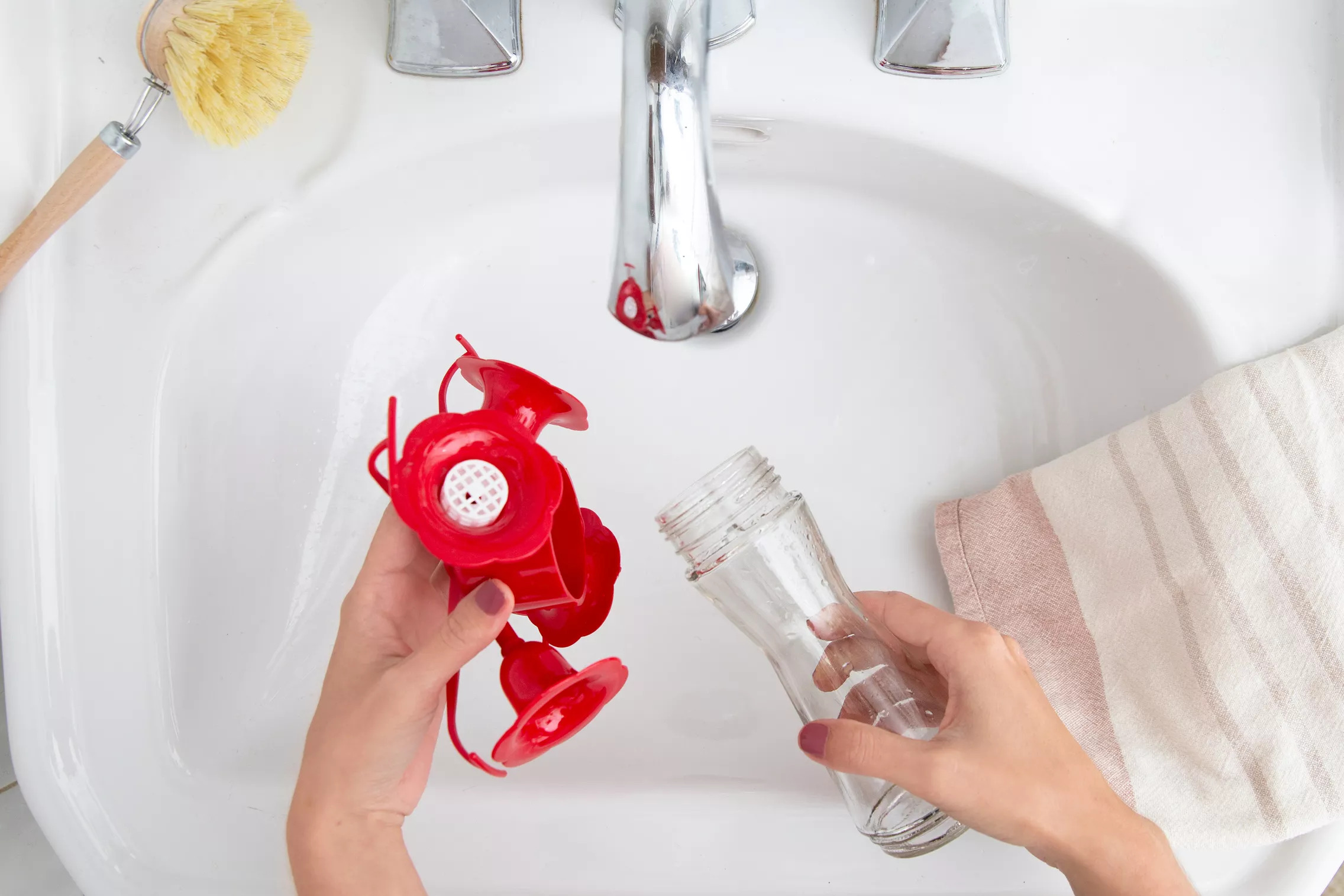 How to Clean a Hummingbird Feeder Step by Step Process EatHappyProject