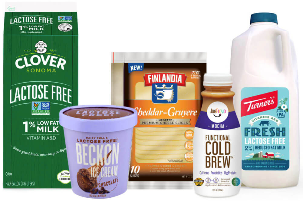 What Are Genres of Food Called? EatHappyProject