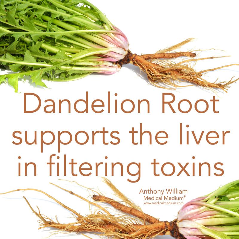 Herbal Remedy Dandelion Root For Liver Detox