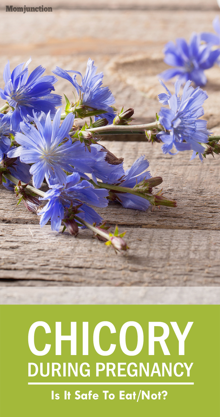 Chicory Tea CaffeineFree And PregnancySafe