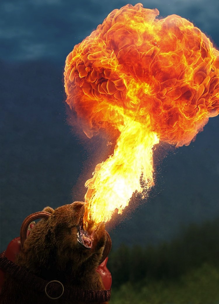 Animals With Weapons Gallery eBaum's World