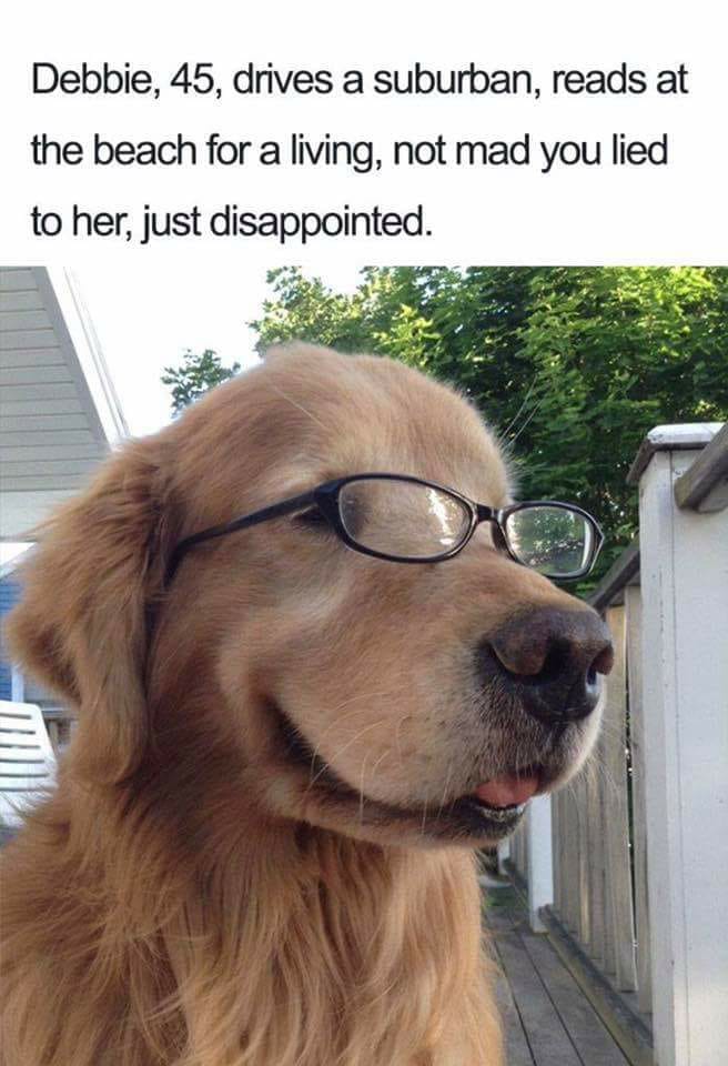 15 Funny Doggo Memes Gallery eBaum's World