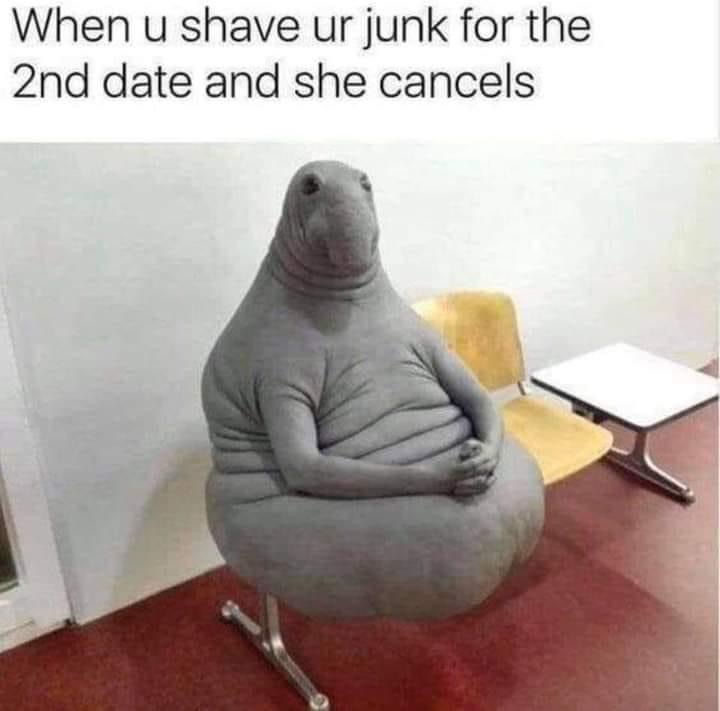 Funny Randoms With the Potential for Laughter Funny Gallery eBaum's