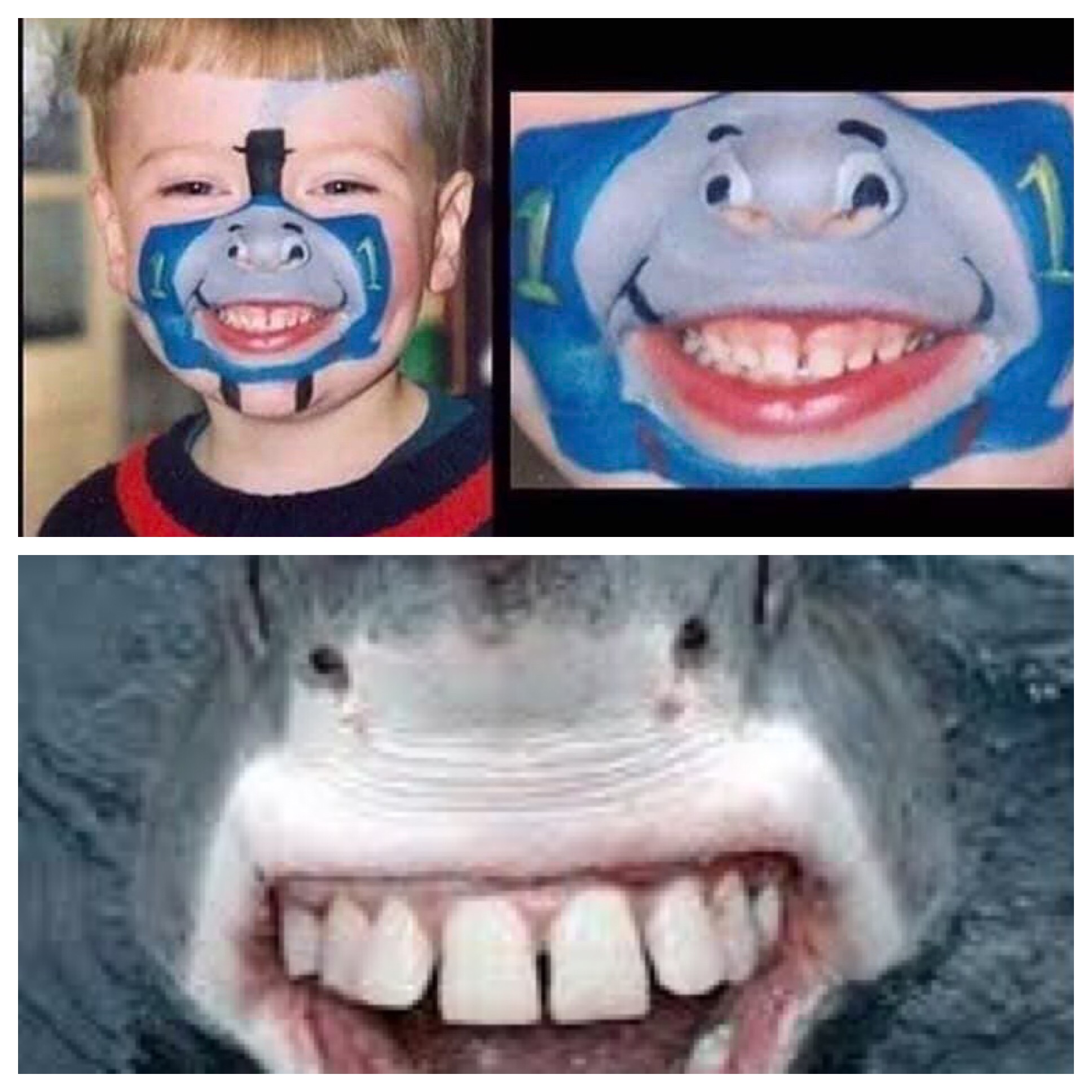 Shark Teeth Picture eBaum's World