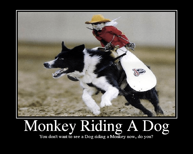 Monkey Riding A Dog Picture eBaum's World