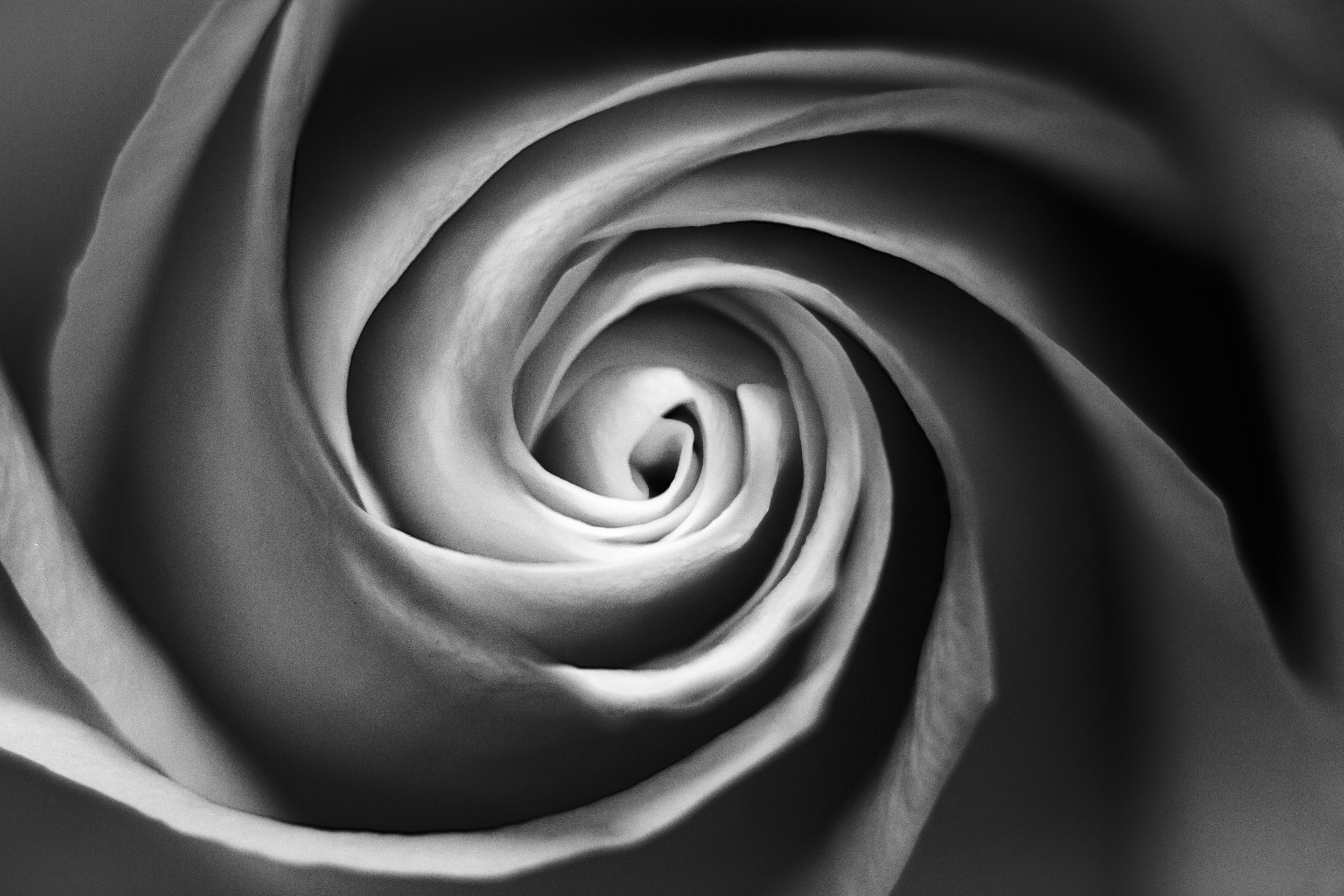 The Flowers That Inspire Me Wow Gallery eBaum's World