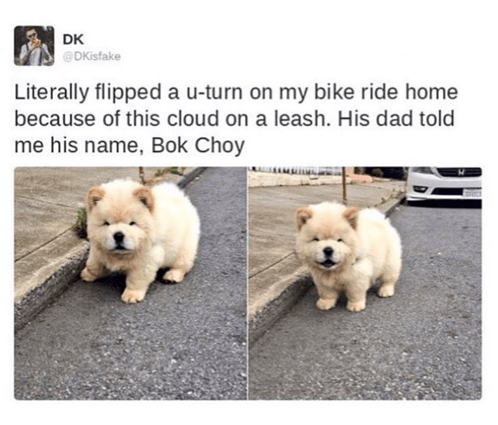 45 feelgood memes to get karma on your side Feels Gallery eBaum's