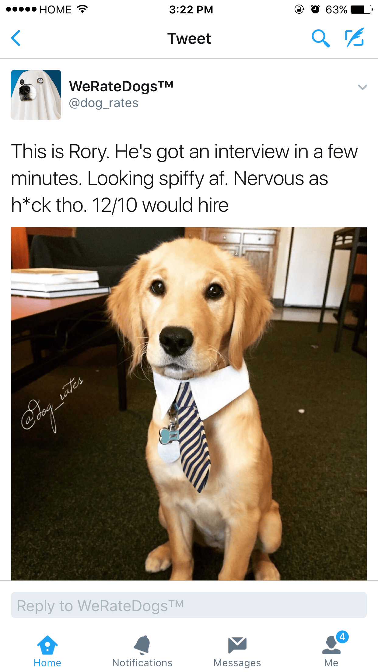 We Rate Dogs Are Back With A Bang Ftw Gallery eBaum's World