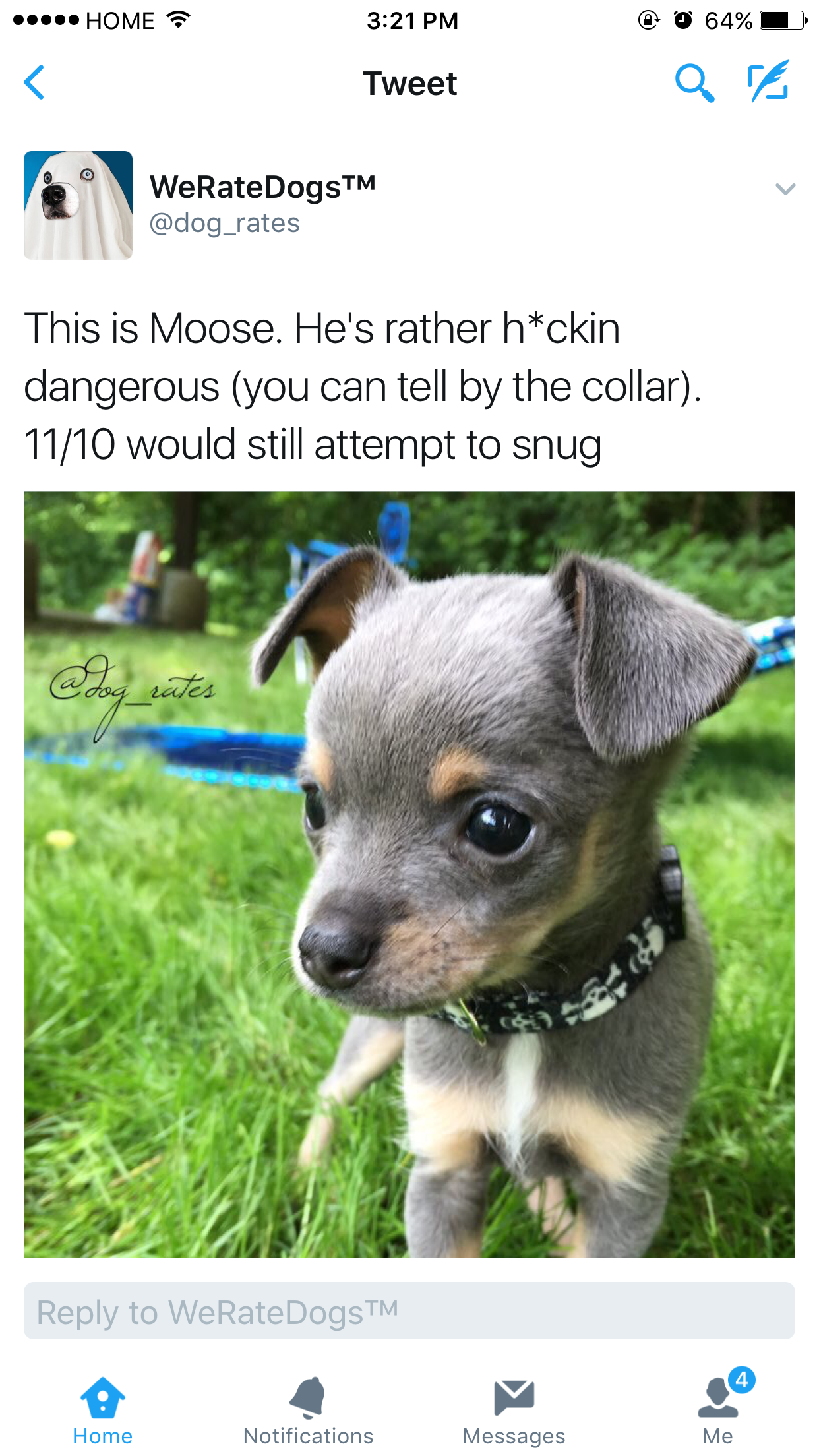 We Rate Dogs Are Back With A Bang Ftw Gallery eBaum's World