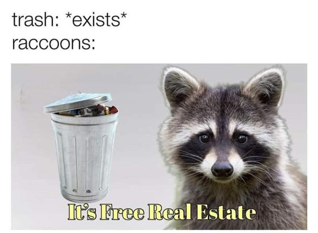 Halloween Memes That Will Light Up Your Inner Jackolantern Gallery