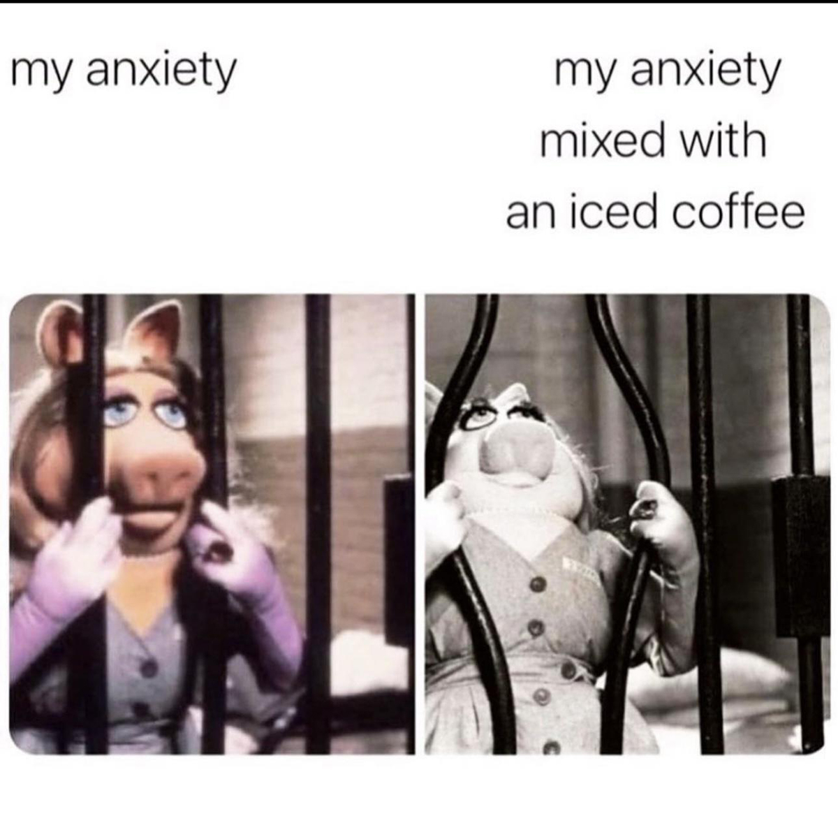 26 Fresh Pics and Memes to Kickstart Your Day Gallery eBaum's World