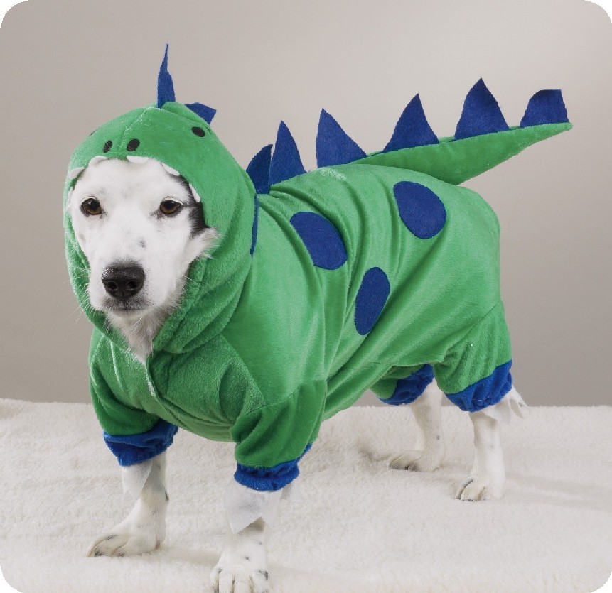Dog Costumes Gallery eBaum's World