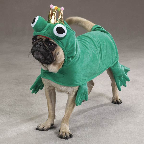 Dog Costumes Gallery eBaum's World