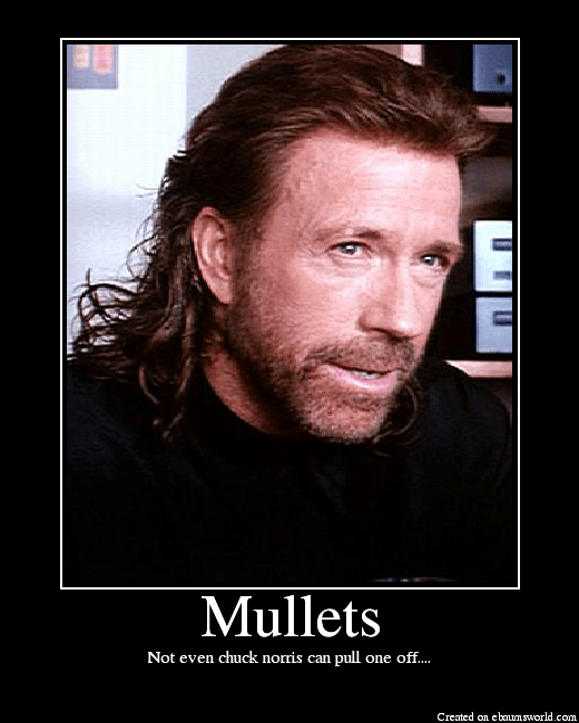 Mullets Picture eBaum's World