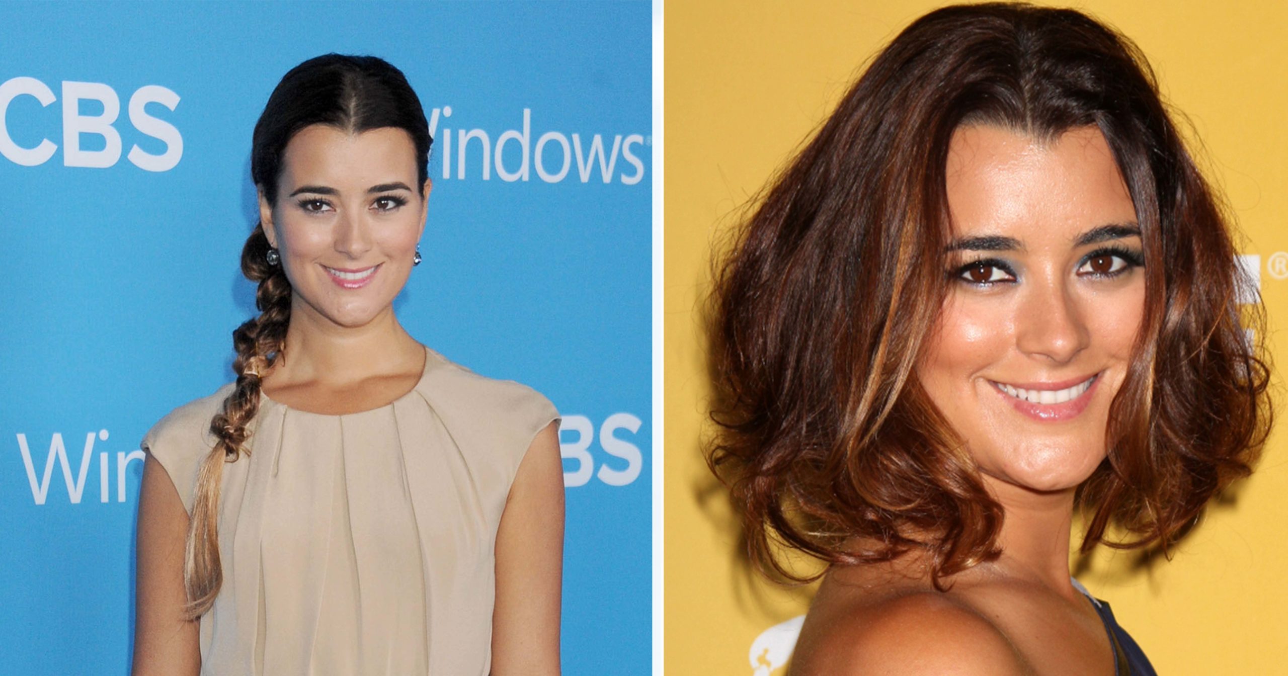 'NCIS' sar Cote de Pablo reveals her true feelings about Mark Harmon(016)