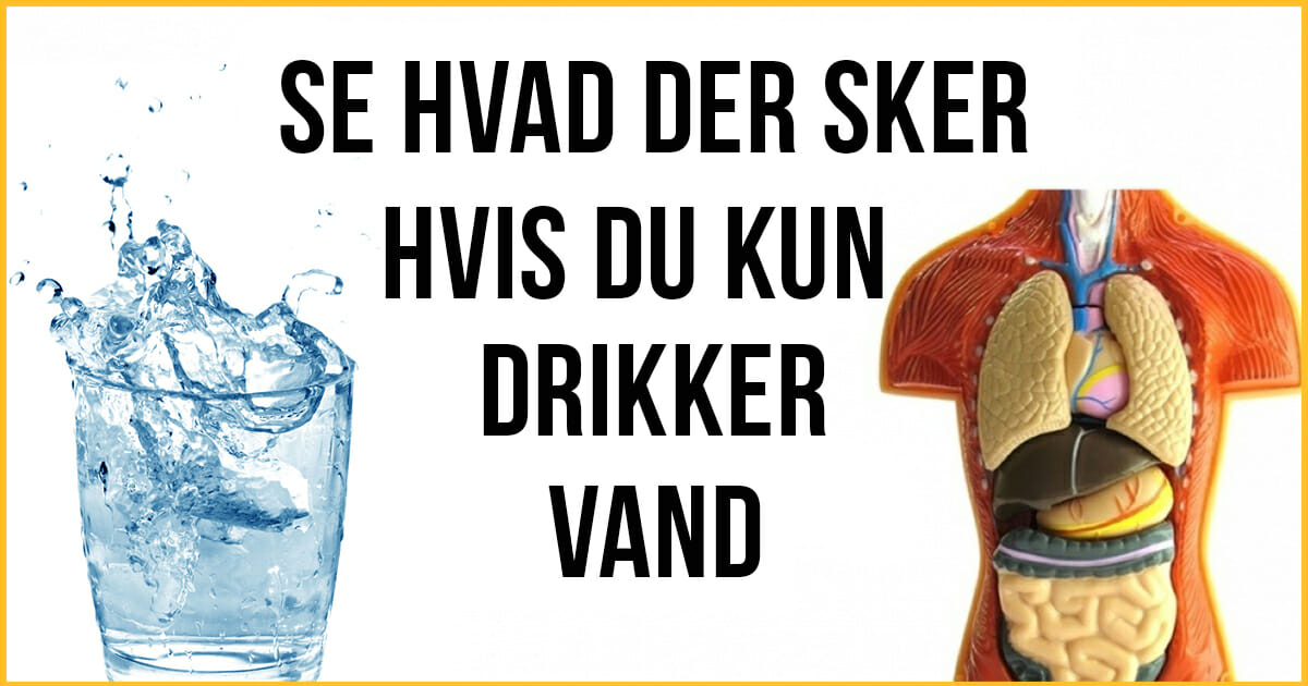 Det sker i kroppen hvis du skifter alt du drikker ud med vand