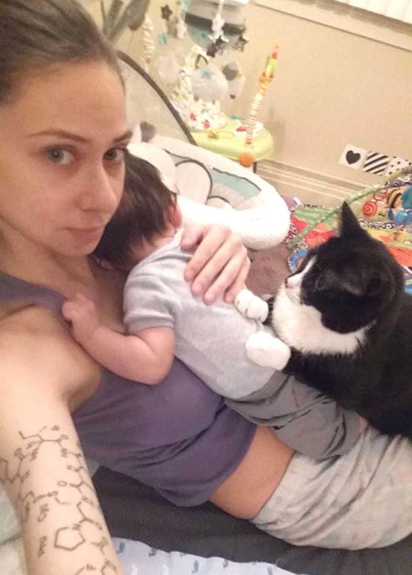 Gato se recusa a sair de cima da barriga da dona grávida — veja o que