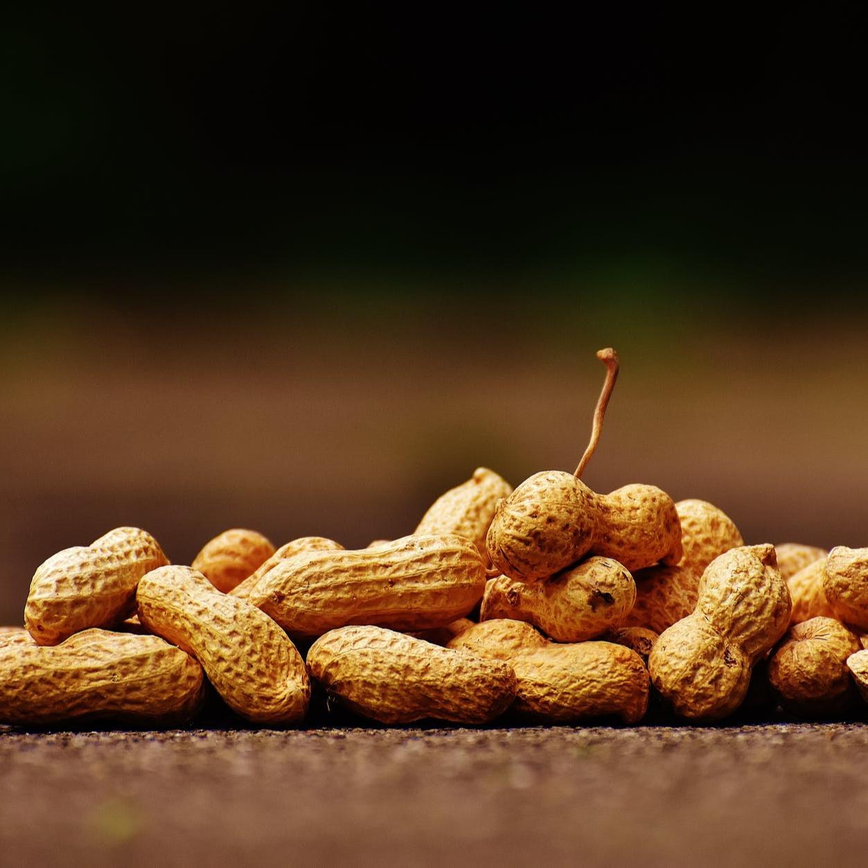 Peanuts may lower cardiovascular disease risk amongst people Study