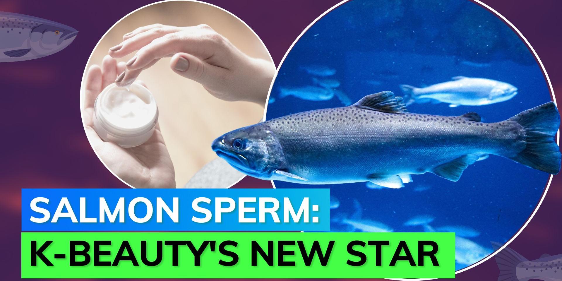 Kbeauty Salmon sperm is Kbeauty‘s latest antiaging ingredient