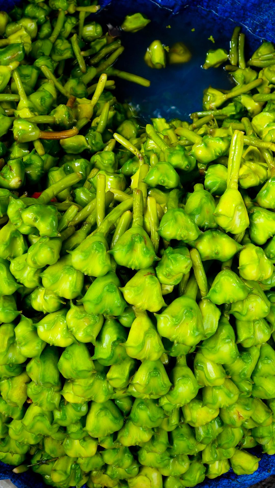 7 Benefits of eating water chestnut (singhara)