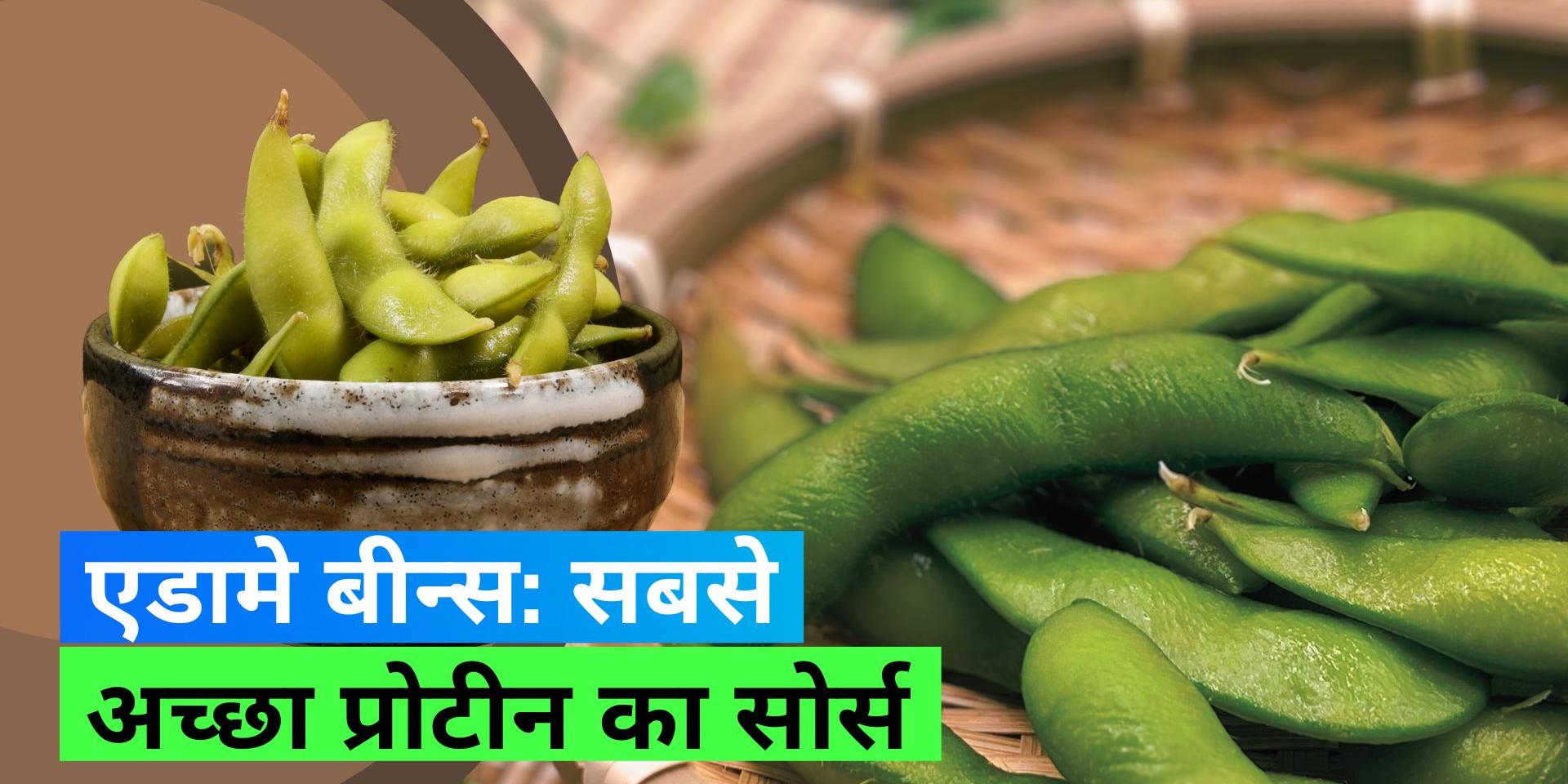 Edamame Beans Benefits ‘Edamame Beans’ are the best plant based