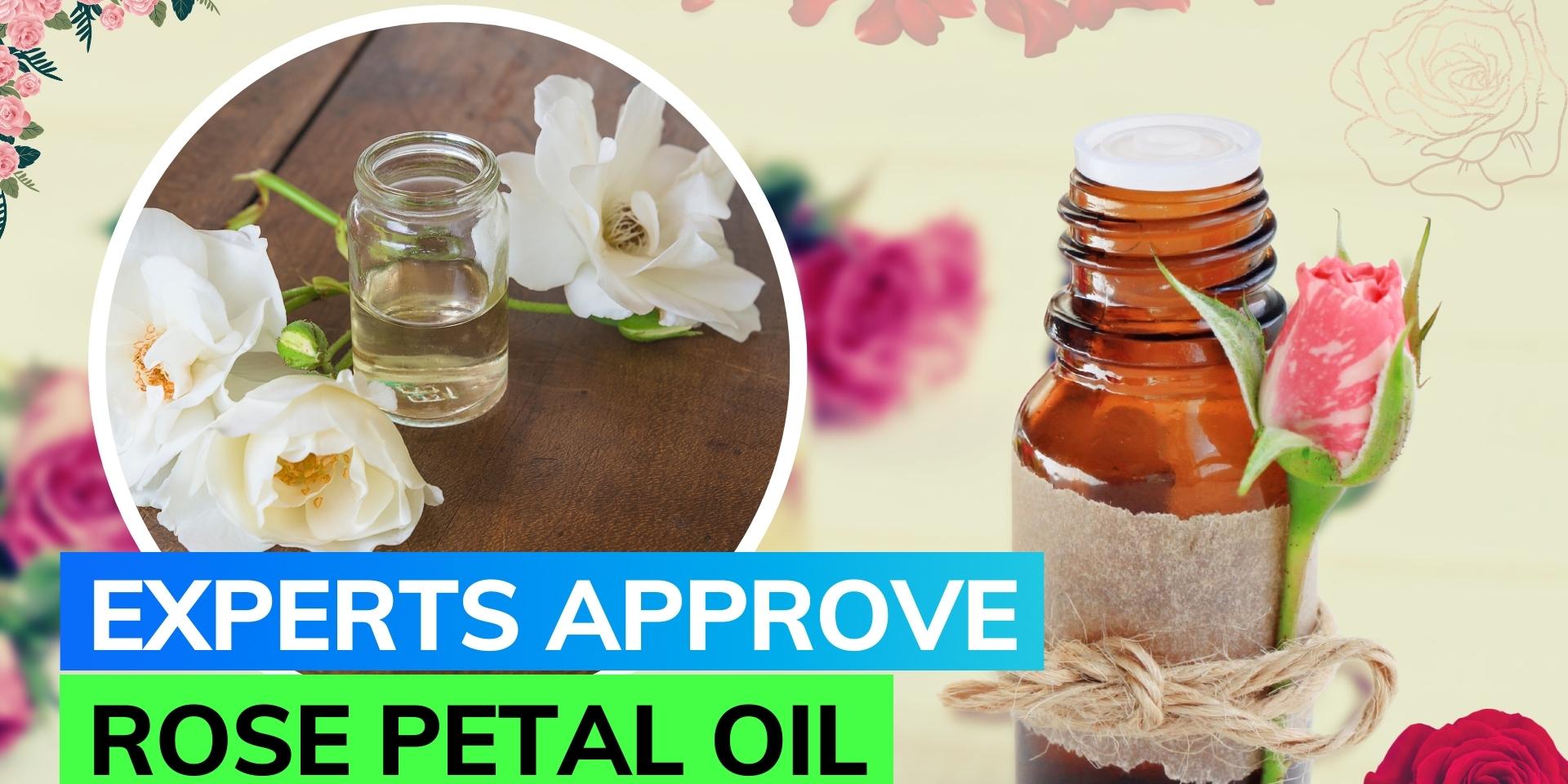 Rose petal oil is beneficial for oily skin, as per experts; know how it