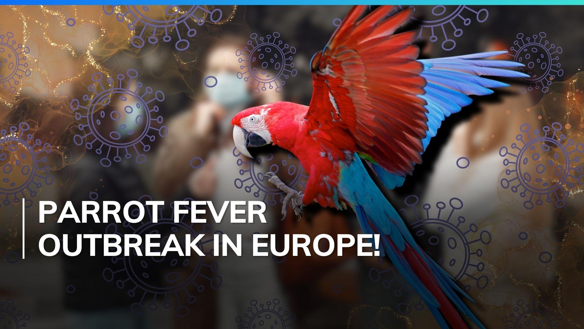 Parrot fever kills 5 in Europe after outbreak WHO Editorji