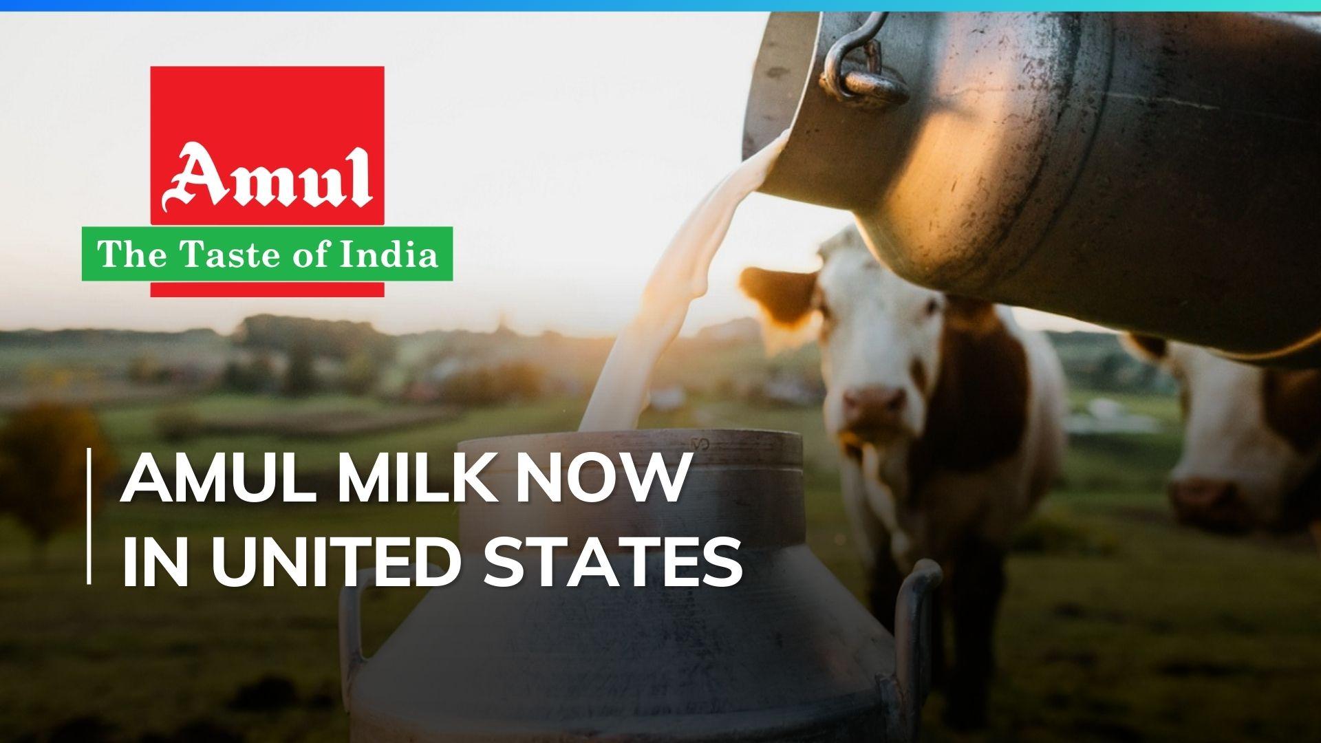 In a first, Amul to launch fresh milk in the United States within a