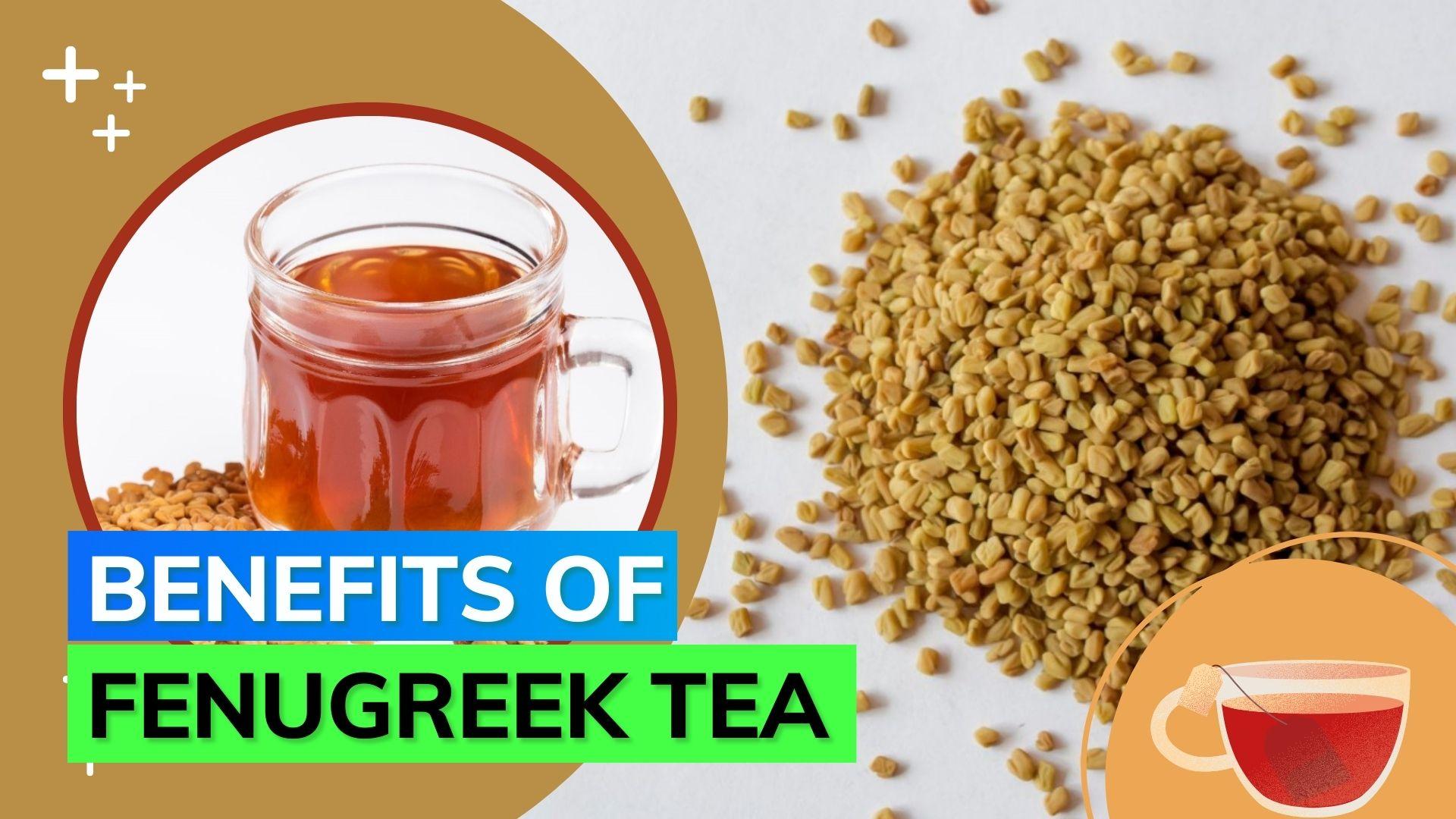 Fenugreek Tea Benefits