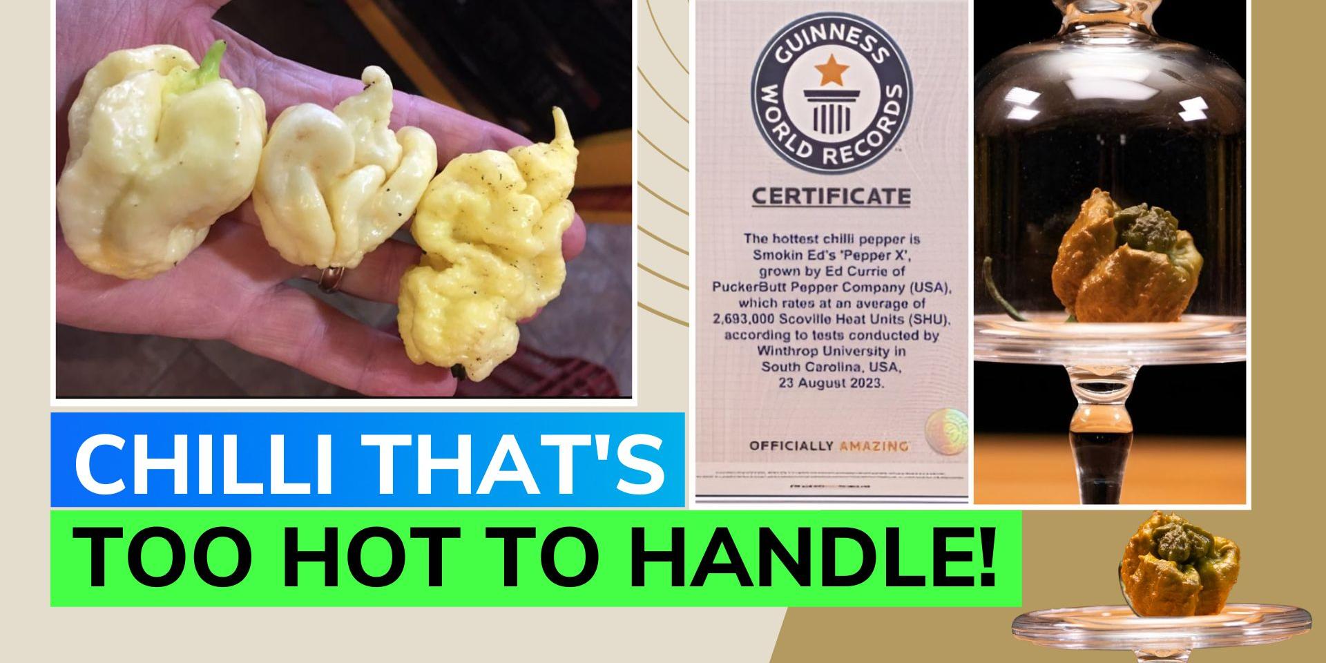 Pepper X takes the crown for world‘s spiciest chili; sets taste buds