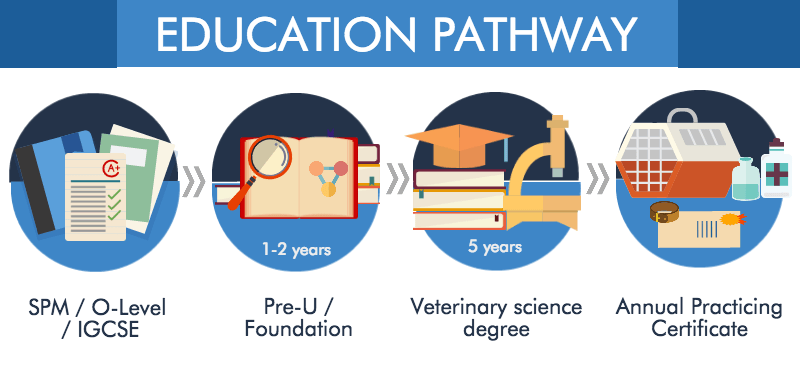 Veterinary Science Course in Malaysia - Where to Study