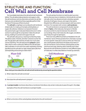 Cell Membrane Worksheets