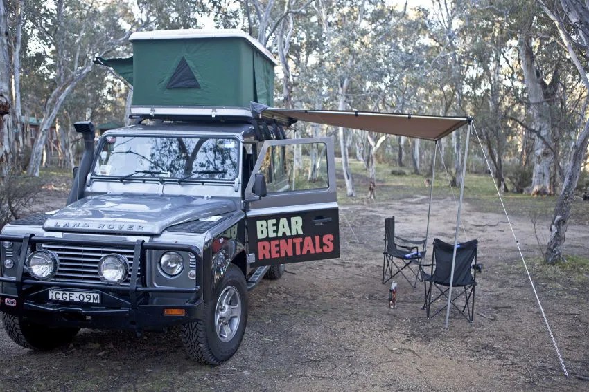 If You Can’t Beat Them, Hire Them Rent a 4WD from Bear Rentals