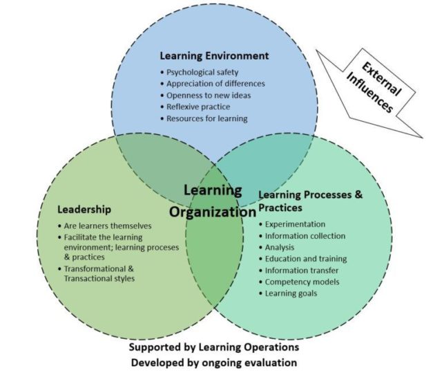 Learning Initiatives In Context Considering The Learning Organization