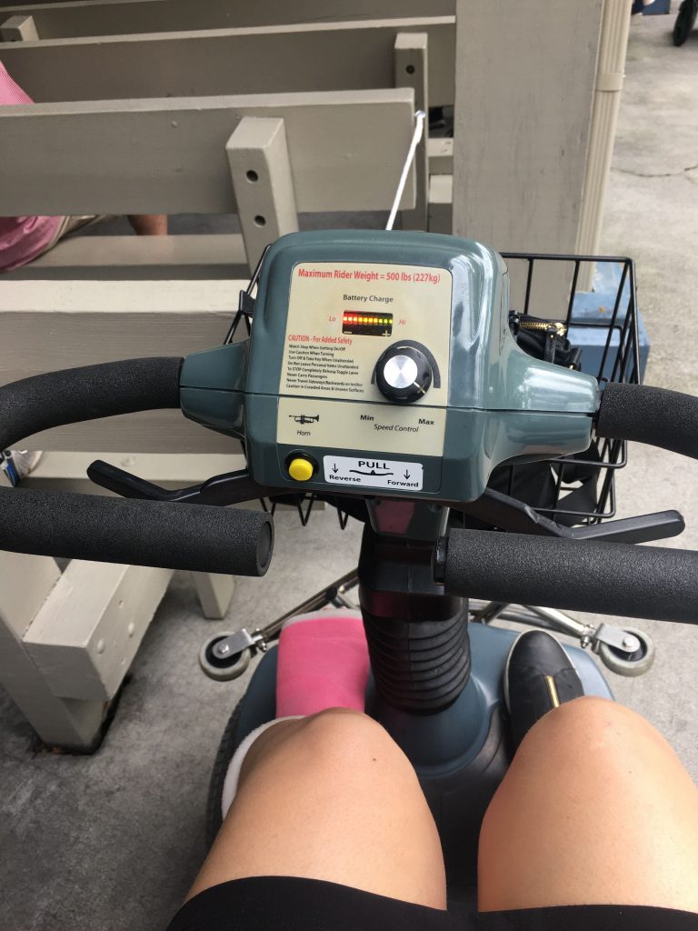 Dollywood Electric Scooter Rental Molli Eolanda
