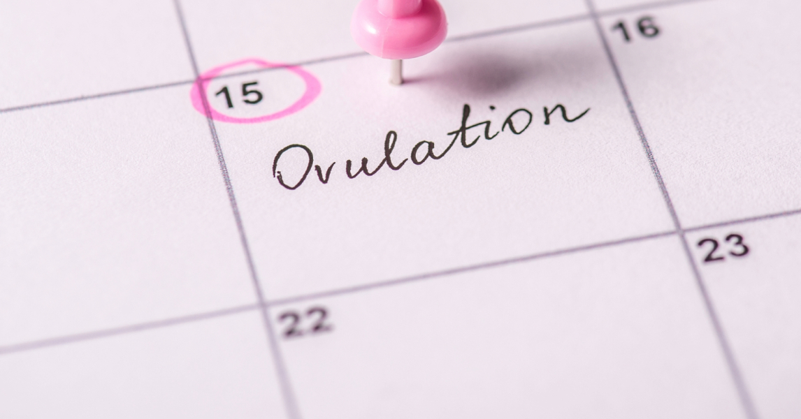 When do you ovulate When does ovulation occur after your period Elvie