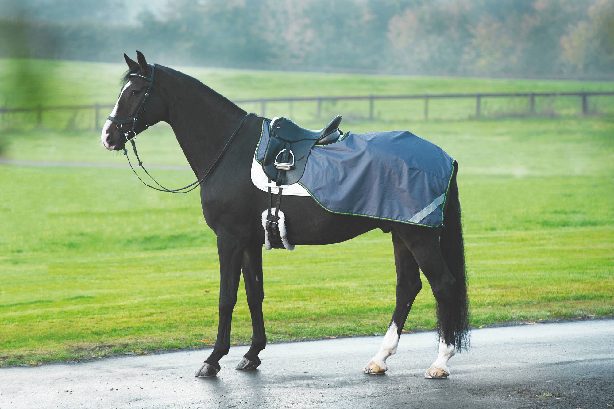 Horse Quarter Sheets