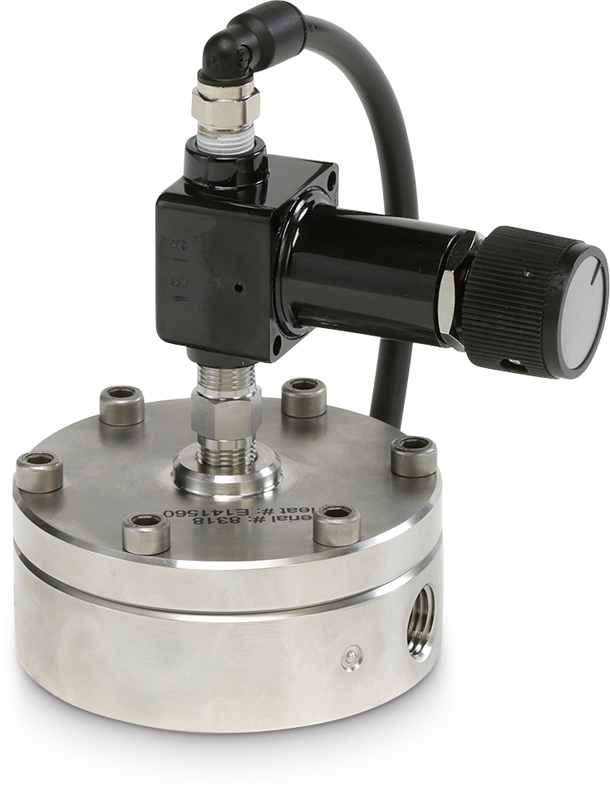 EVRGSD2 Vacuum Regulator Equilibar