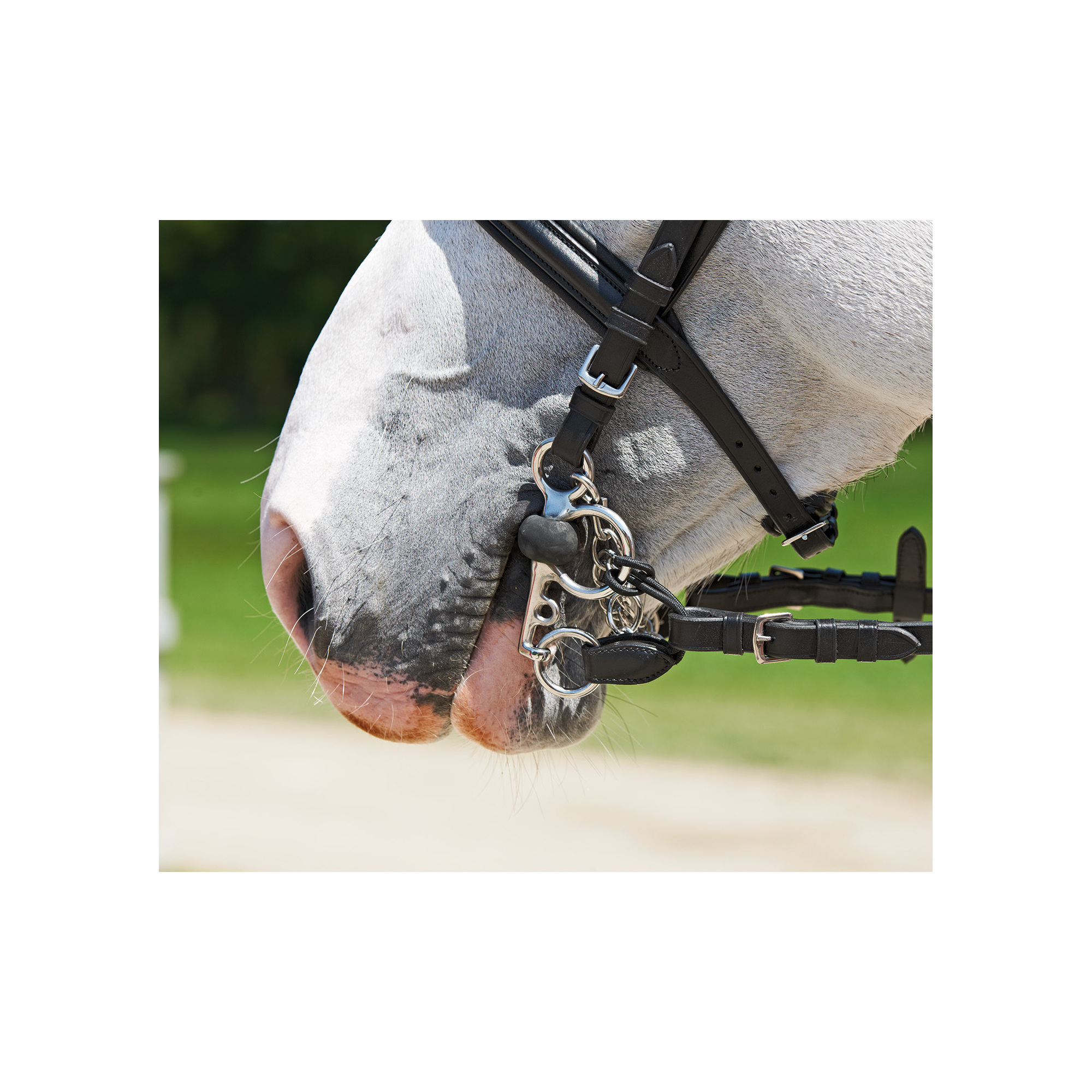 Busse PELHAM STRAPS Equestrian Shop