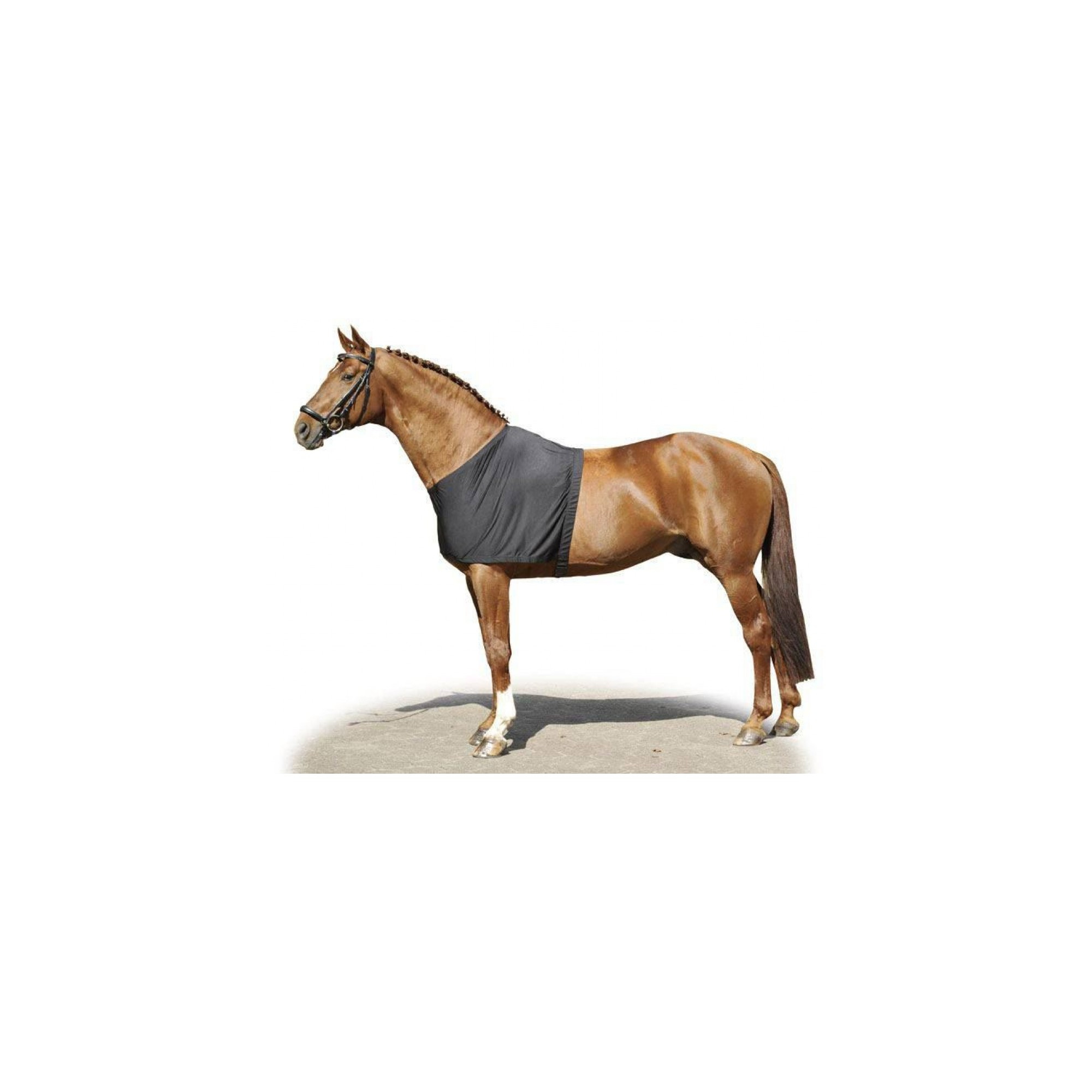 HKM CHEST PROTECTOR Equestrian Shop