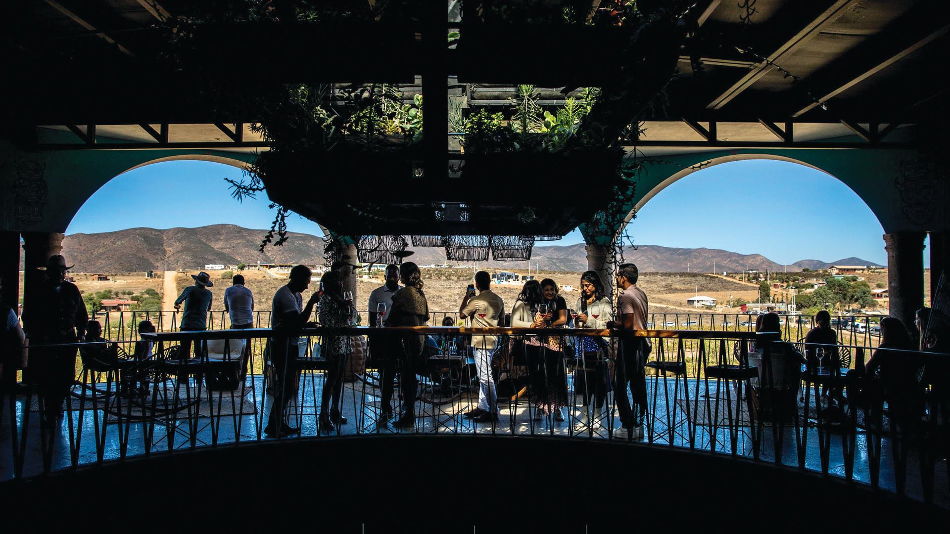 Mexico's Valle de Guadalupe Escapism TO