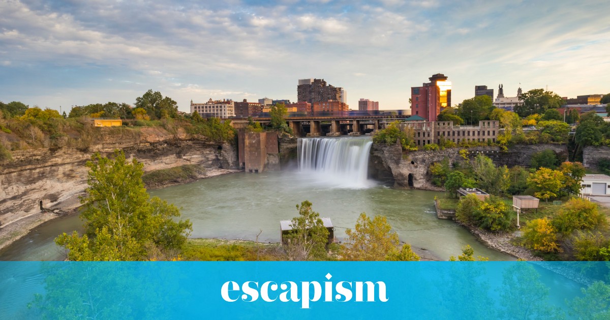 Winging It Rochester, NY Escapism TO