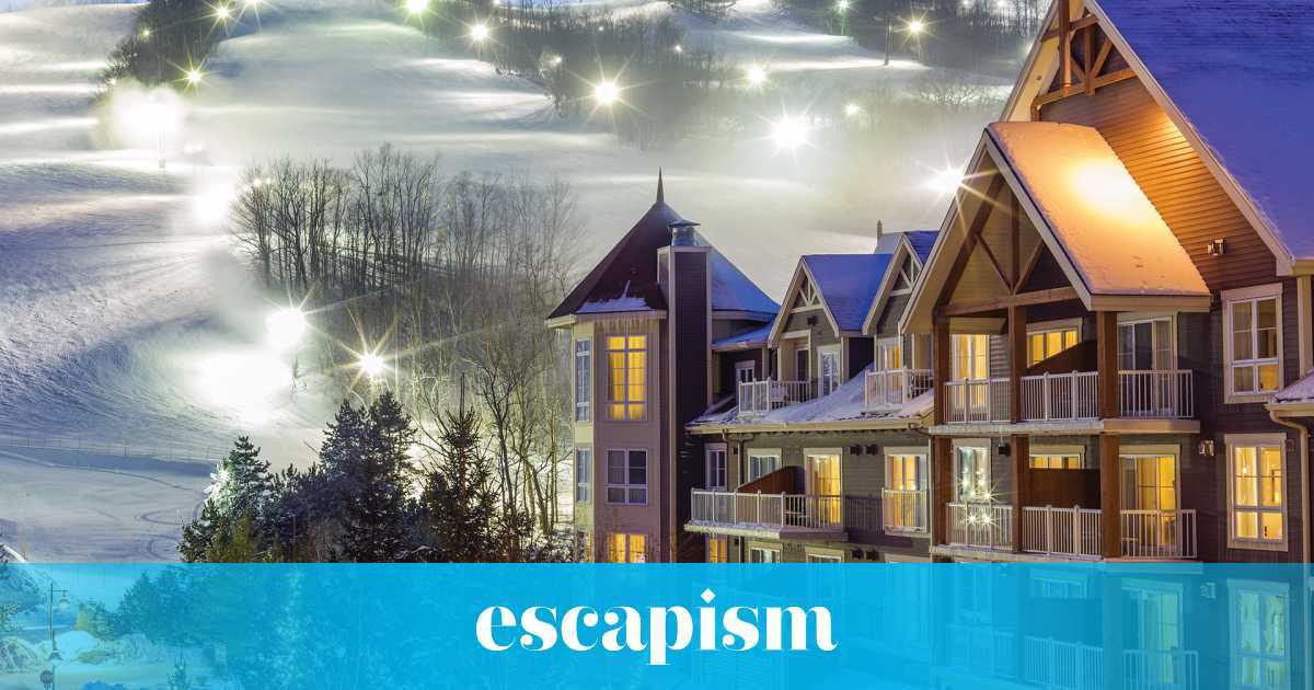 Mustvisit restaurants and more in Collingwood Escapism TO