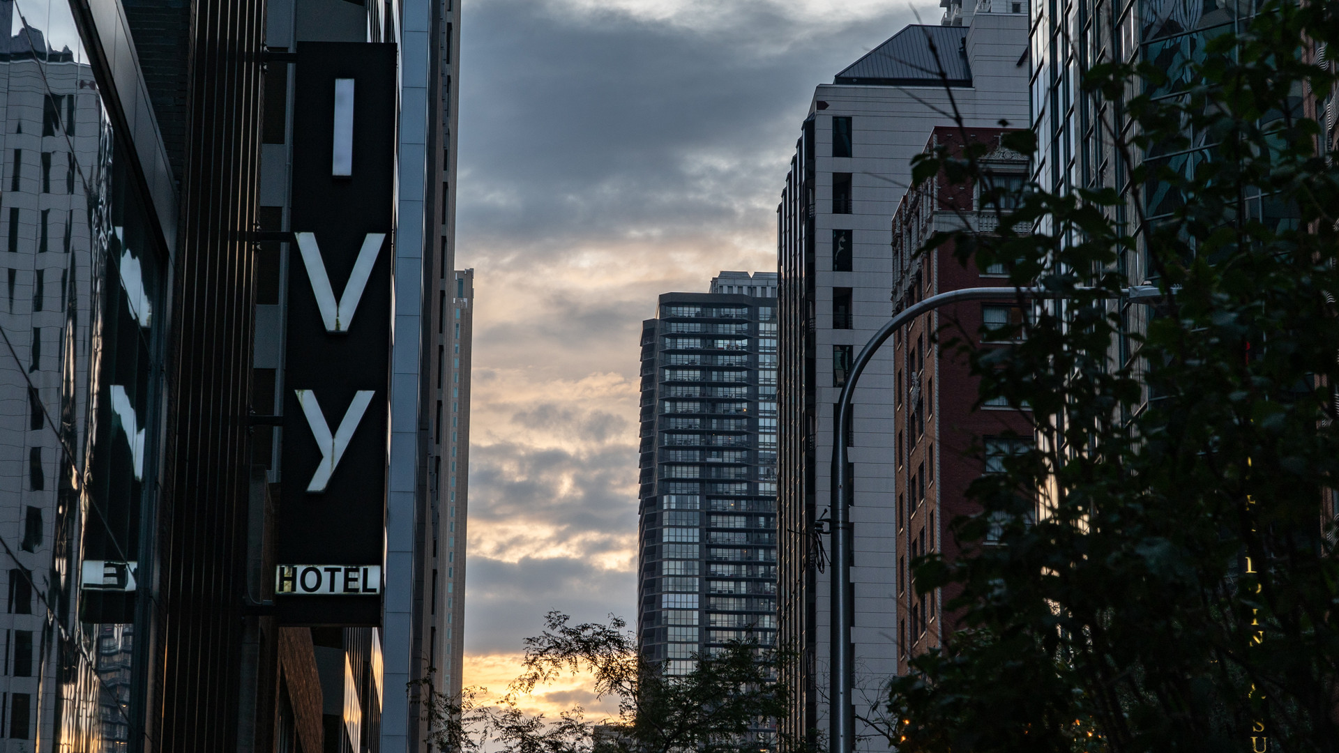 Just Landed You can now celebrate the holidays just like the Griswolds