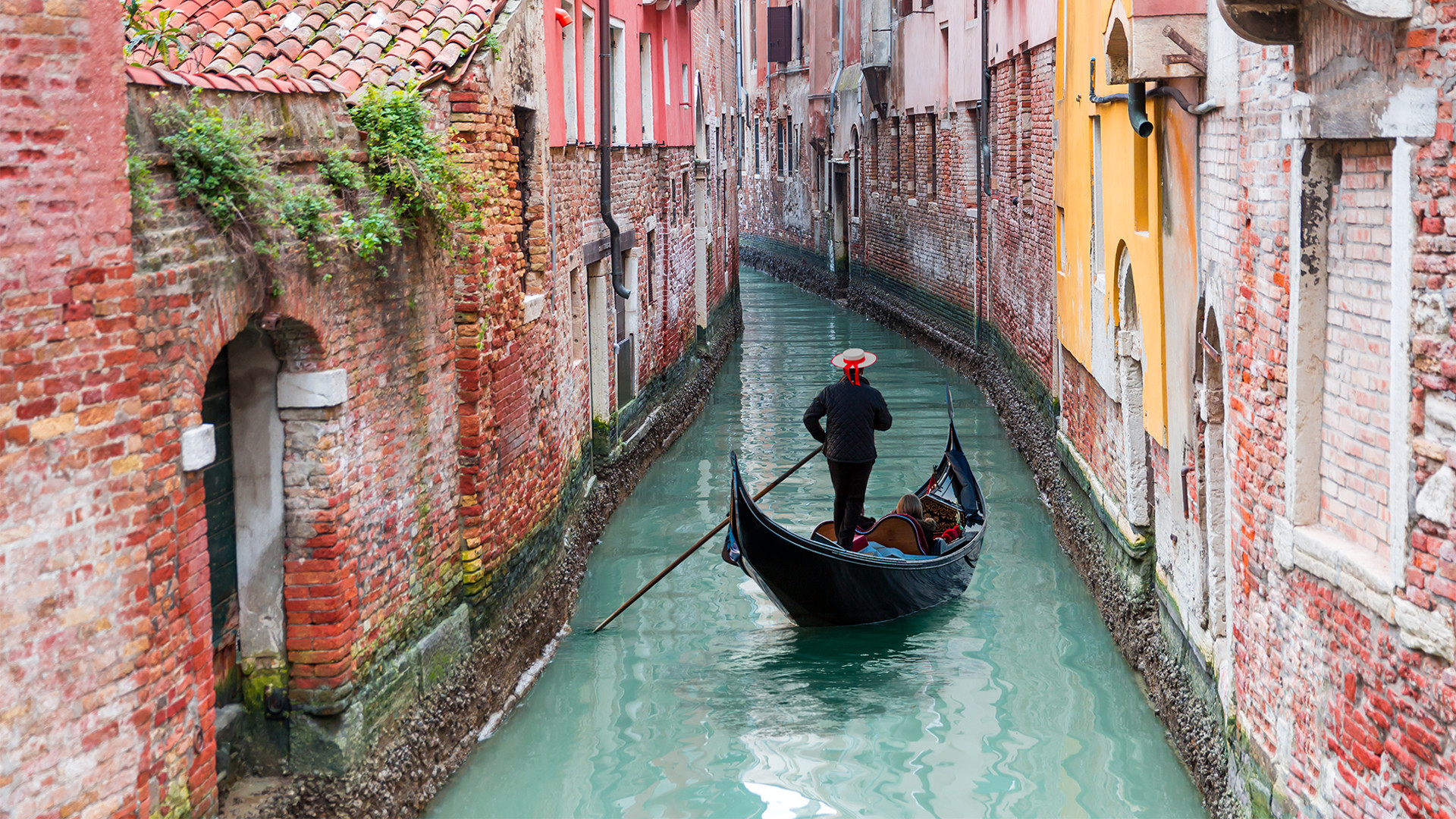Just Landed The water in Venice's canals is clear… but there were