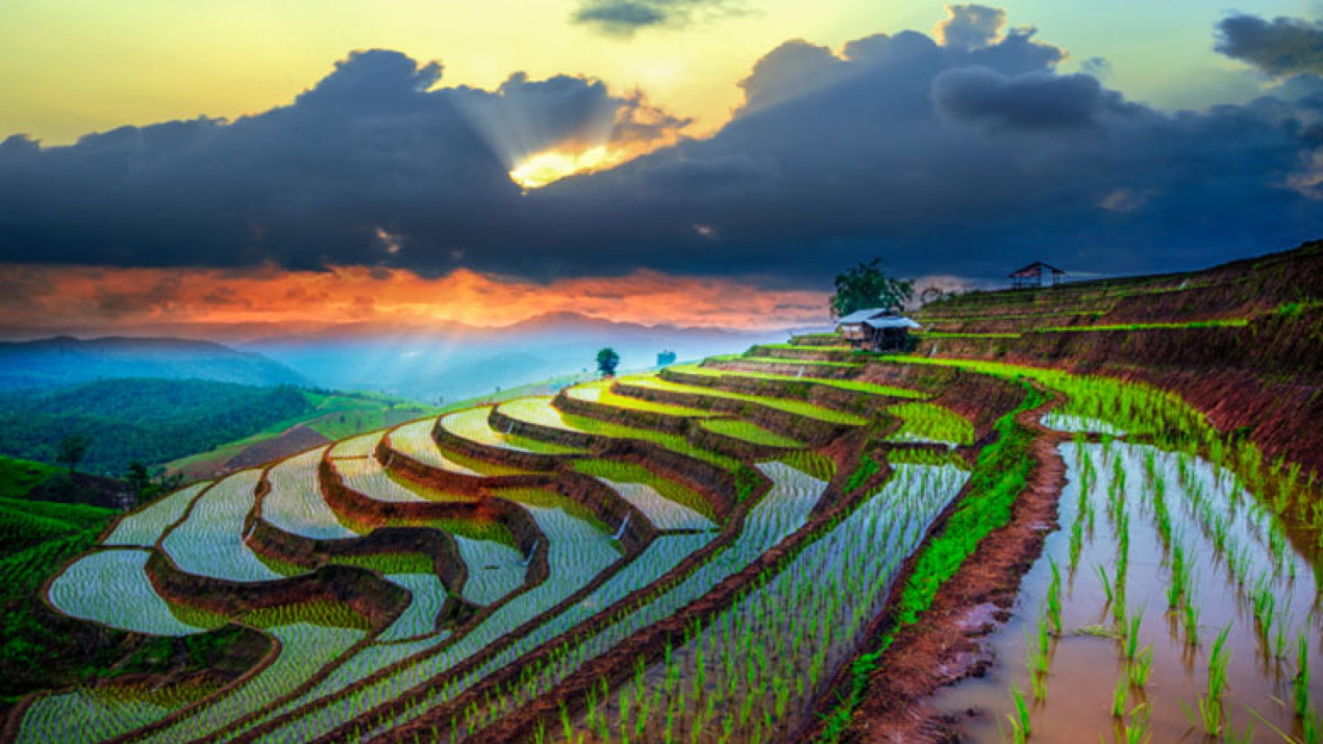 10 mesmerising pictures of ancient rice paddies Escapism Magazine